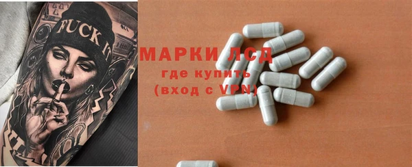 сатива Мегион