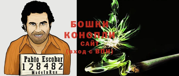 Альфа ПВП Медногорск
