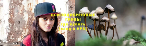 Альфа ПВП Медногорск
