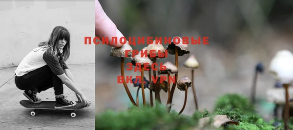 кокс Бердск