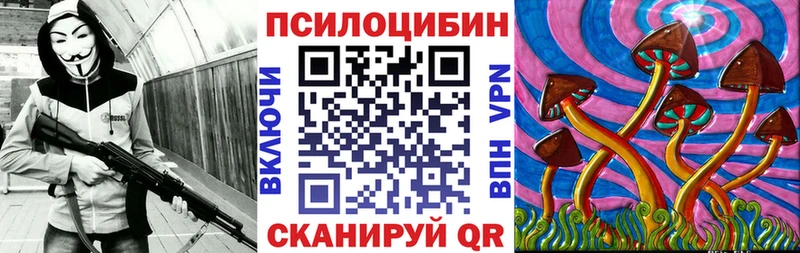 блэк спрут вход  Енисейск  Псилоцибиновые грибы GOLDEN TEACHER 